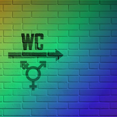 Transsexuais ainda sofrem transfobia por falta de acesso a banheiros públicos