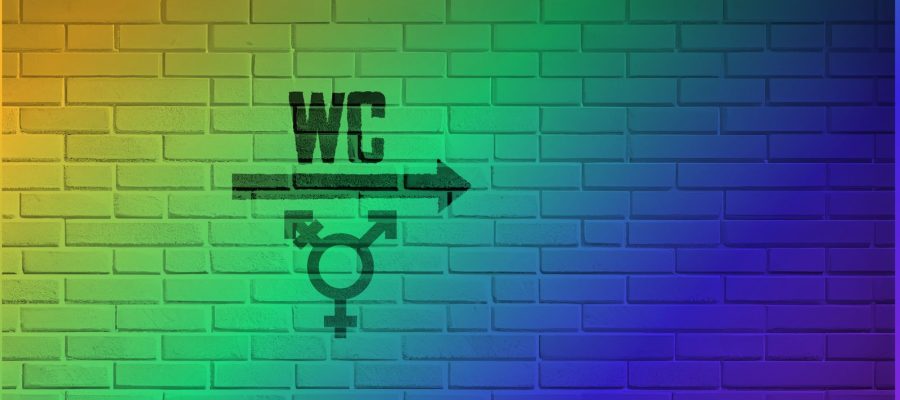 Transsexuais ainda sofrem transfobia por falta de acesso a banheiros públicos