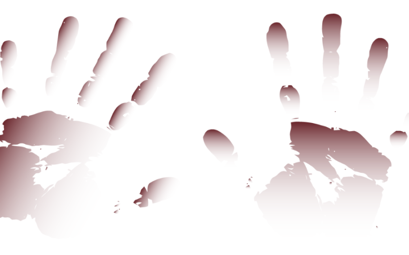 A resiliência é uma mola de transformação social